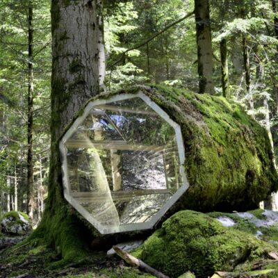 Alexandre Joly - My love Mother Nature
