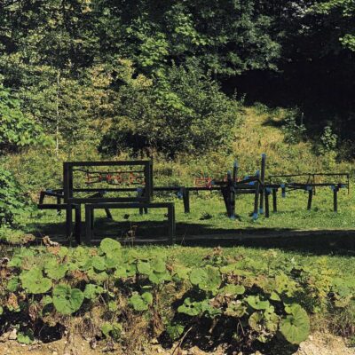 Alois Dubach - Ordre - Desordre