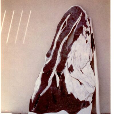 Anton Egloff - Flacke - Flagge