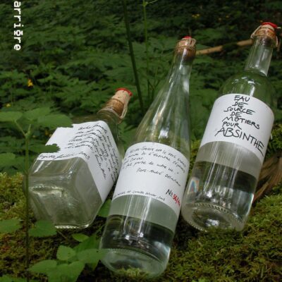 Brigitte Gierlich et Camilla Schuler - L'absence de l'absinthe