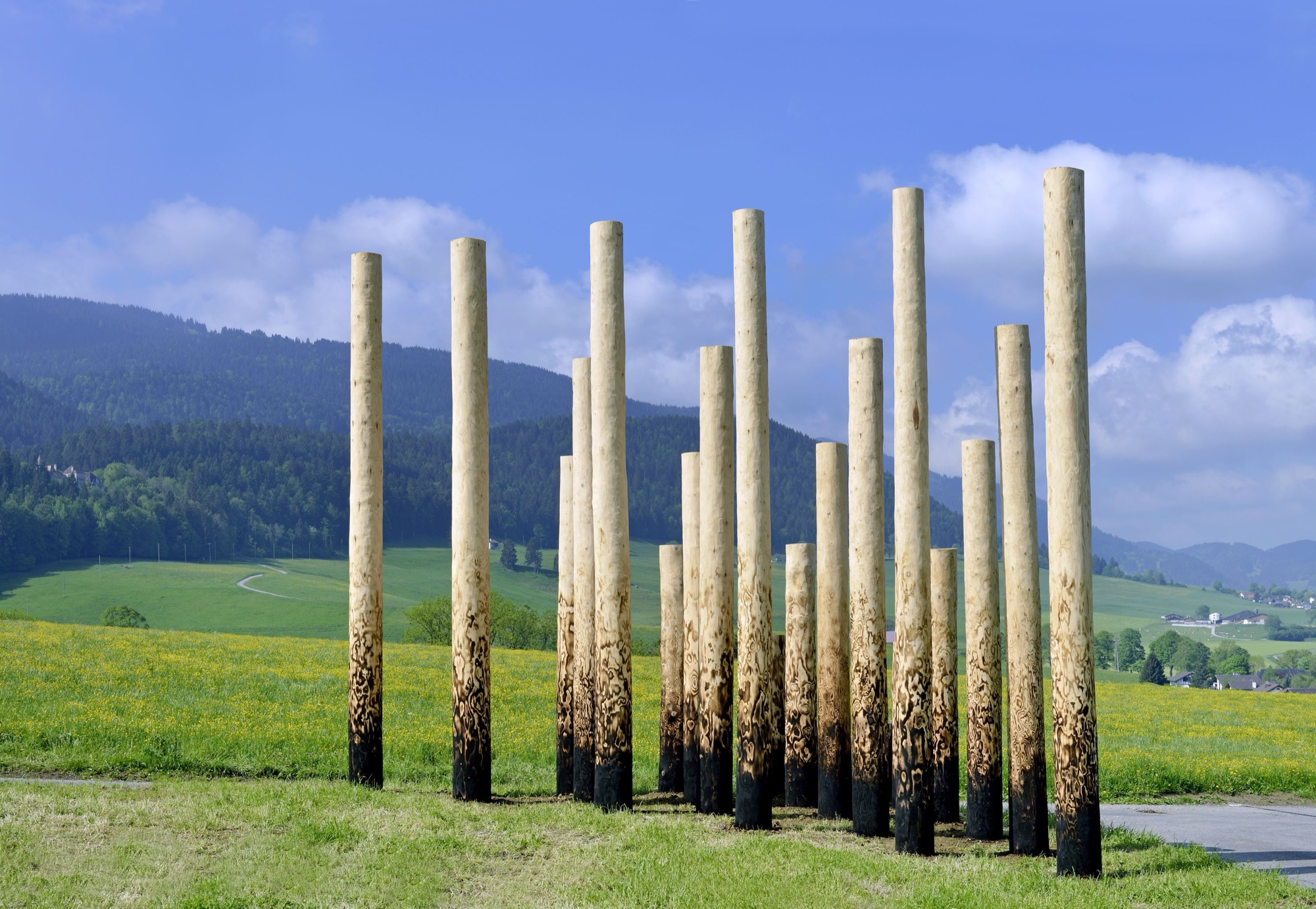 Claudia Comte - 21 trunks form a triangle 6x6m, 5x5m, 4x4m, 3x3m, 2x2m, 1x1m