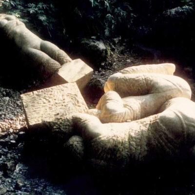 Dominique Fontana - Figures 1 et 2 figures enlacees