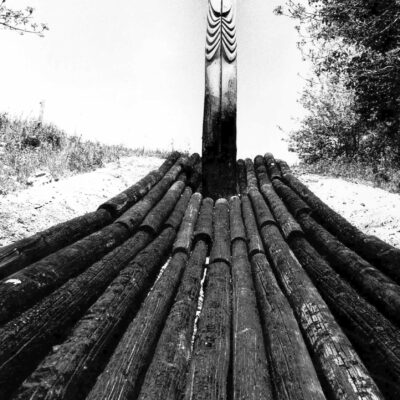 Georges Jaquier - Le chant du cygne