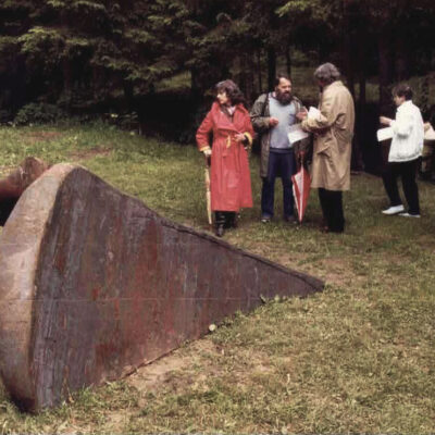 Heinz Niederer - M 85