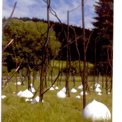 Isabelle Krieg - Phoenix's eggs