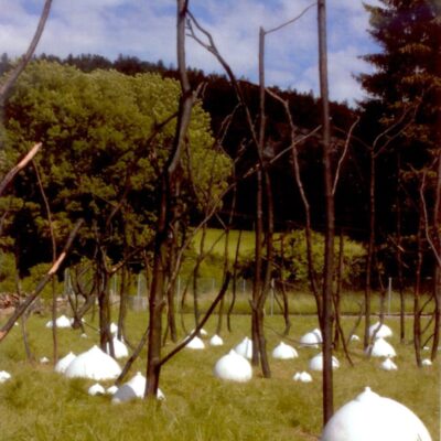 Isabelle Krieg - Phoenix's eggs