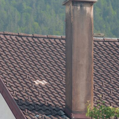 John Armleder - Sans titre