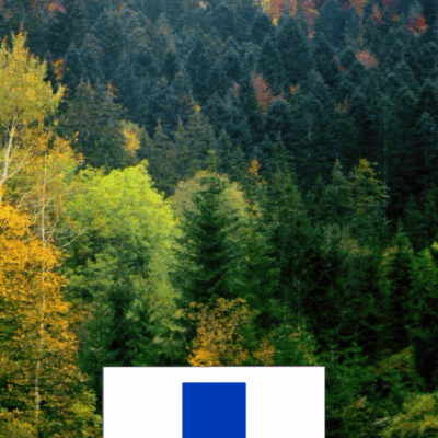 Roman Signer - La meme grandeur, la meme forme, une autre couleur