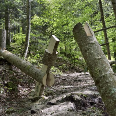 Urs-P. Twellmann - Intervention
