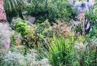 Judith Kakon - Chiba 2021_2500px